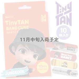 画像1: 【70%OFF】TinyTANばんそうこう(JUNG KOOK)【KiNiNaRu/きになる】公式グッズ TinyTAN  通販